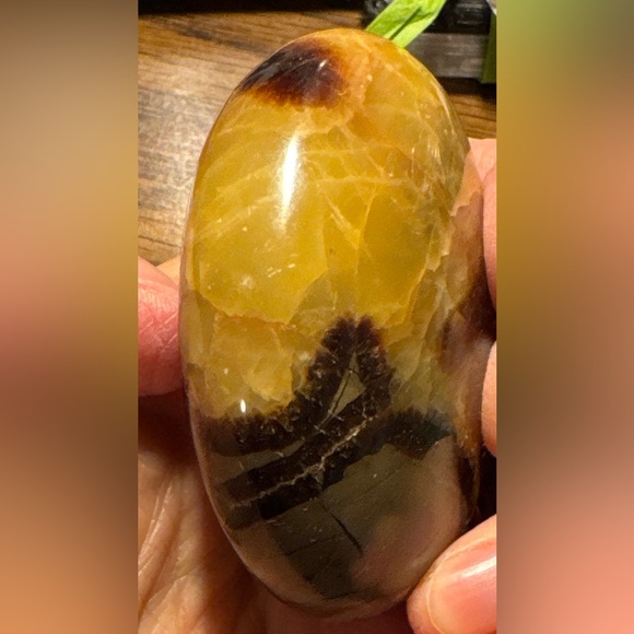 Beautiful Septarian palm stone #2 - Picture 6 of 14